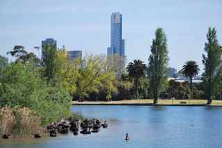 Albert Park, with Central Business District in the background