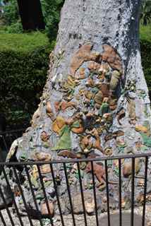 Ola Cohn's Fairy Tree